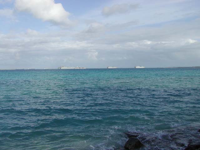 Boats in the harbor