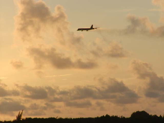 Buff on final at sunset