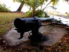 Cannon3